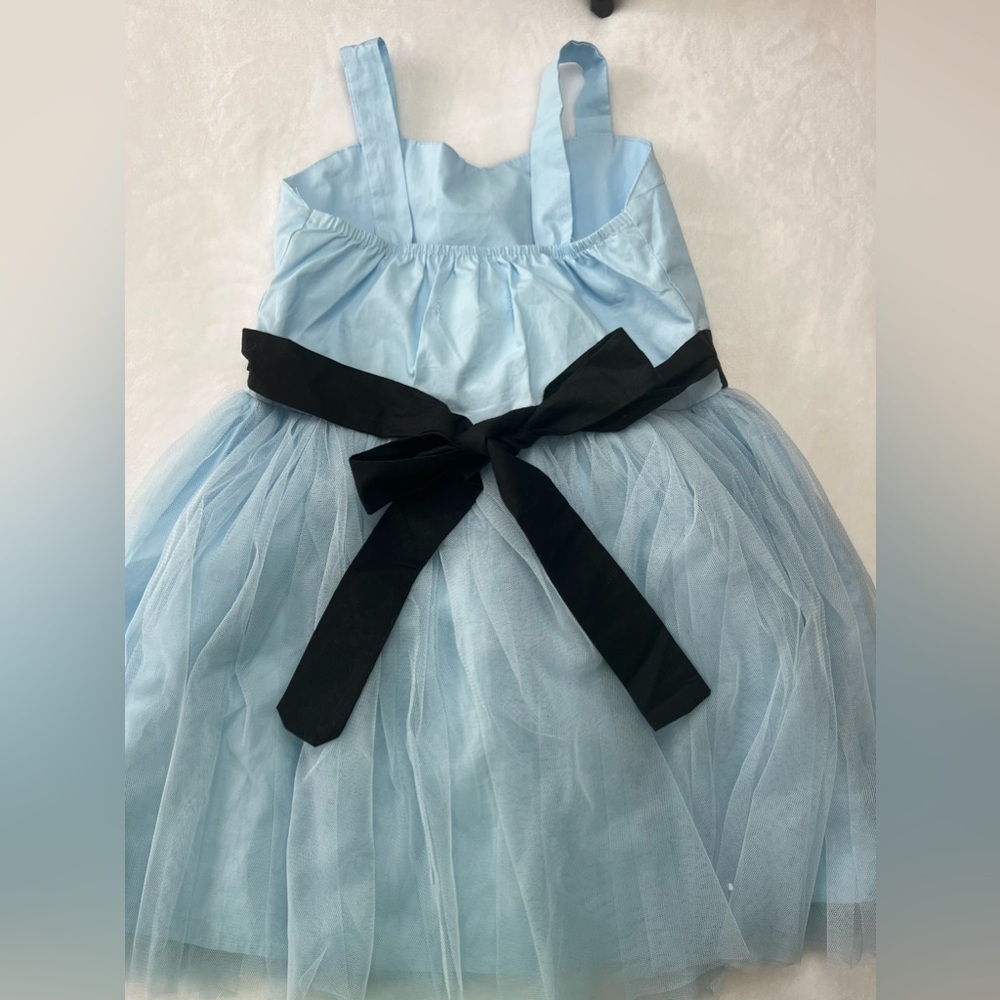 Alice in Wonderland Halloween Costume - Picture 4 of 5
